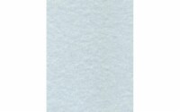Cdstk Parchment 8.5x11 65lb 25pc Pk Blue UPC