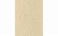 Cdstk Parchment 8.5x11 65lb 25pc Pk Aged UPC
