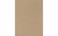 Cdstk Recycled 8.5x11 65lb 25pc Pk Brown Bag UPC