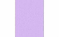 Paper Pearlized 8.5x11 80lb 25pcPk Amethyst UPC