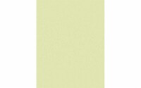 Paper Pearlized 8.5x11 80lb 25pcPk Honeydew UPC