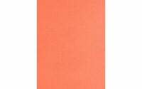 Cdstk Muslin 8.5x11 73lb 25pc Pk Sherbet UPC