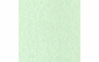 Cdstk Parchment 12x12 65lb 25pc Pk Green UPC