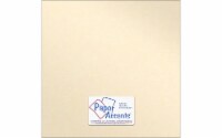 Paper Pearlized 12x12 80lb Cameo 5pc