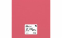 Cdstk Canvas 12x12 80lb 25pc Pk Pimento