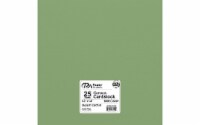 Cdstk Canvas 12x12 80lb 25pc Pk Desert Cactus