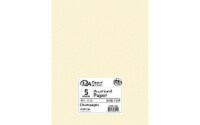 Paper Pearlized 8.5x11 80lb Champagne 5pc