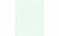 Paper Pearlized 8.5x11 80lb 25pc Aloe UPC