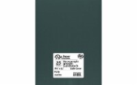 Cdstk Hvywght Smooth 8.5x11 111lb 25pc Holly
