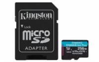 Kingston Canvas Go Plus 256 GB SD Card