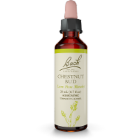 Bach Chestnut Bud Flower Essences Perspective: Main