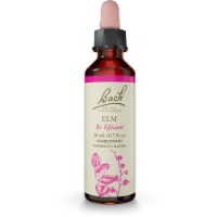 Bach Elm Flower Essence