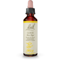 Bach Gorse Flower Essence Perspective: Main