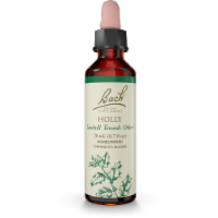 Bach Holly Flower Essence Perspective: Main