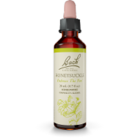Bach Honeysuckle Flower Essence Perspective: Main