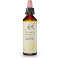 Bach Hornbeam Essence Perspective: Main