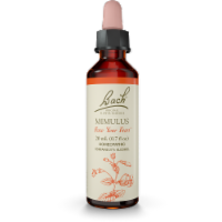 Bach Mimulus Flower Essence