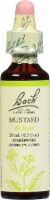 Bach® Original Flower Remedies Mustard Essence