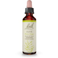 Bach Olive Flower Essence Perspective: Main