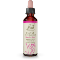 Bach Star Of Bethlehem Flower Essence Perspective: Main