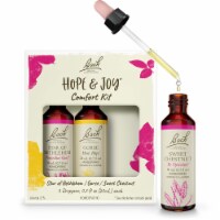 Bach Original Flower Remedies Hope and Joy Flower Essence Kit
