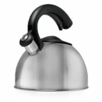 Primula Today Colin Stainless Steel 3-qt Whistling Kettle - Brushed Perspective: Main