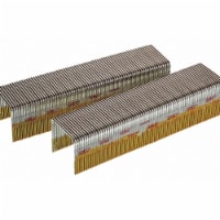 Senco Staples,16 ga.,1  L,PK10000  P13BAB