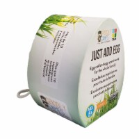 Griddly Games GRG4000600 Just Add Egg Game, Grade K-8