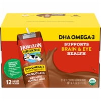 Horizon Organic DHA Omega-3 Lowfat Chocolate Milk Perspective: Main