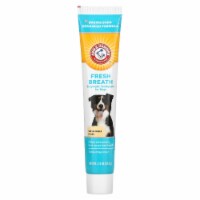 Arm Hammer Fresh Breath Enzymatic Toothpaste For Dogs Vanilla Ginger 2.5 oz 2.5 oz Kroger