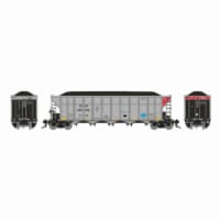 Rapido RAP169006 No.2 HO Scale CEFX AutoFlood III Coal Hopper Model Train - Pack of 6