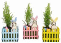 Lemon Cypress Picket Fence Perspective: Main
