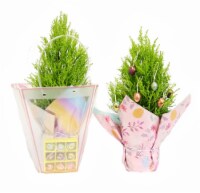 Lemon Cypress Easter Carry Along Bag Perspective: Main