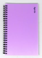 PlanAhead Any Day Wirebound Agenda Book Perspective: Main