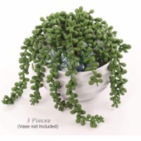 Artificial Succulent String of Pearls Pack of 3