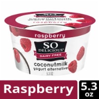 SO Delicious® Dairy-Free Raspberry Coconutmilk Yogurt Alternative