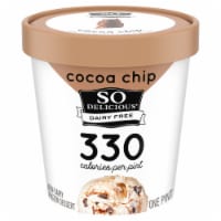 SO Delicious® Dairy Free Cocoa Chip Frozen Dessert Pint Perspective: Main