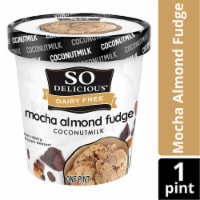 So Delicious Dairy Free Mocha Almond Fudge Coconut Milk Frozen Dessert Carton Perspective: Main