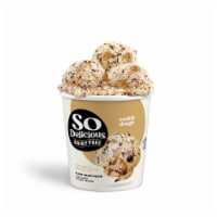 So Delicious Dairy Free Cookie Dough Coconut Milk Frozen Dessert Carton Perspective: Main