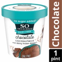 So Delicious Dairy Free No Sugar Added Chocolate Coconut Milk Frozen Dessert Carton Perspective: Main