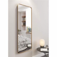 ANDY STAR Modern 18 x 48 Inch Rectangular Full Body Length Mirror, Brushed Gold Perspective: Main