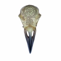 Omega Raven Skull, Poly Resin