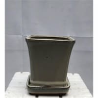5.25 x 5.25 x 5.5 in. Beige Ceramic Bonsai Pot with Attached Humidity & Drip Tray, Square