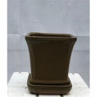 5.25 x 5.25 x 5.5 in. Olive Green Ceramic Bonsai Pot with Attached Humidity & Drip Tray, Squa
