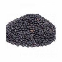 Bulk Peas and Beans Organic Black Lentils - Single Bulk Item - 25LB