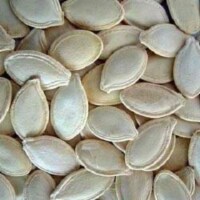 Bulk Seeds Pumpkin Seed Raw Usa - Single Bulk Item - 27LB