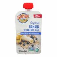 Earth's Best - Pouch Ban Blueberry Oat - Case of 12-3.5 oz.