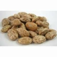 Bulk Peas and Beans Organic Pinto Beans - Single Bulk Item - 25LB Perspective: Main