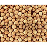 Bulk Peas And Beans Beans Garbanzo - Single Bulk Item - 25LB