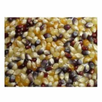 Bulk Grains Organic Popcorn